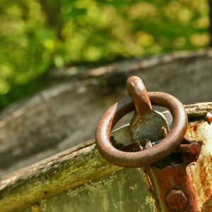 Old Boat in the Woods