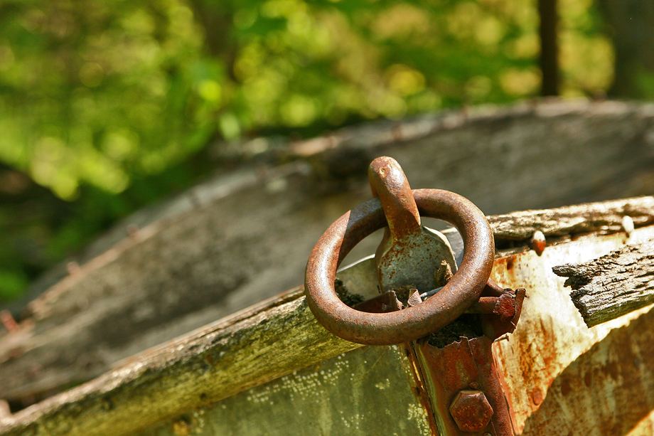 Old Boat in the Woods