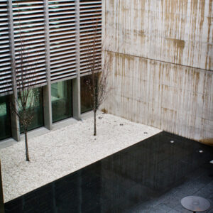 Straight Lines & Circles II